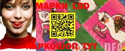 spice Кулебаки