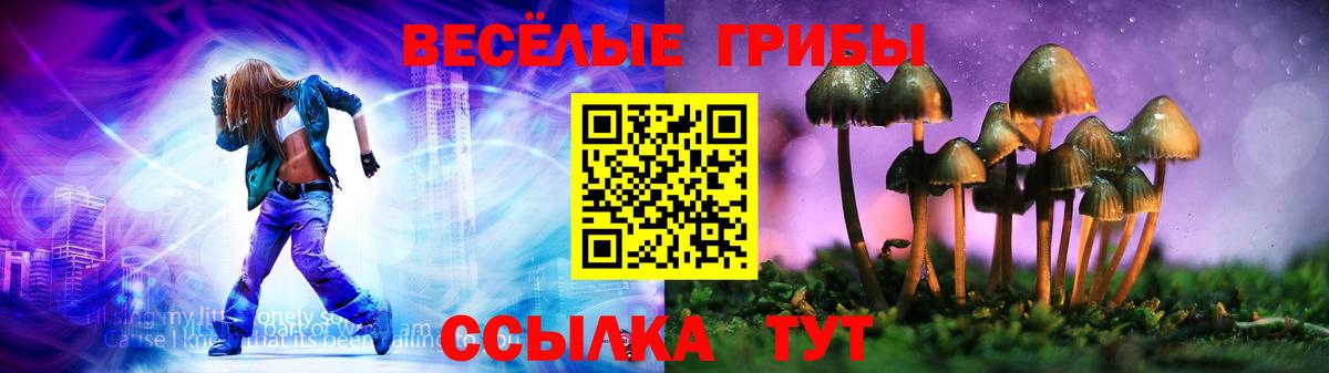 Жигулёвск  Псилоцибиновые грибы Cubensis  Псилоцибиновые грибы Psilocybine cubensis  Вход с VPN 
